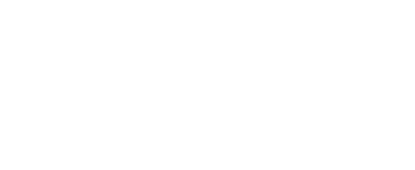 LYKOS CONSEIL
